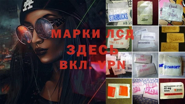 герыч Ладушкин