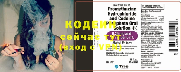 твердый Аркадак